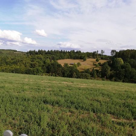 Ferienwohnung Altmaier - Ferien Auf Dem Lande Griebelschied エクステリア 写真