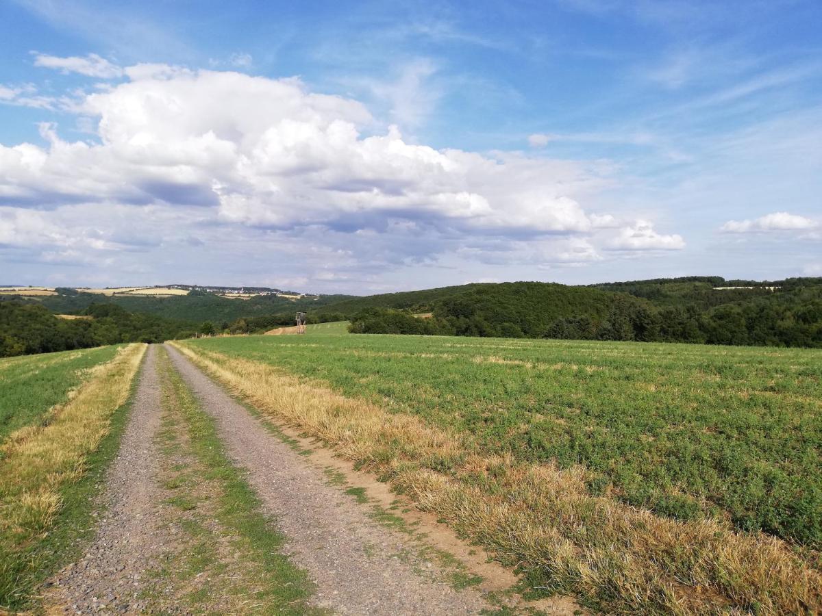 Ferienwohnung Altmaier - Ferien Auf Dem Lande Griebelschied エクステリア 写真